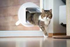 Surrey Cat flap